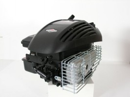 4,5 PS Briggs & Stratton Motor Quattro 22,2/80